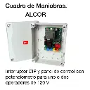 cuadro alcor.webp