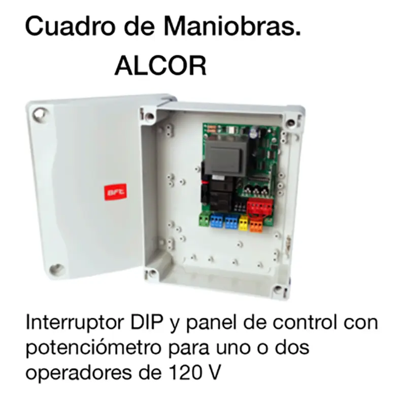 cuadro alcor.webp