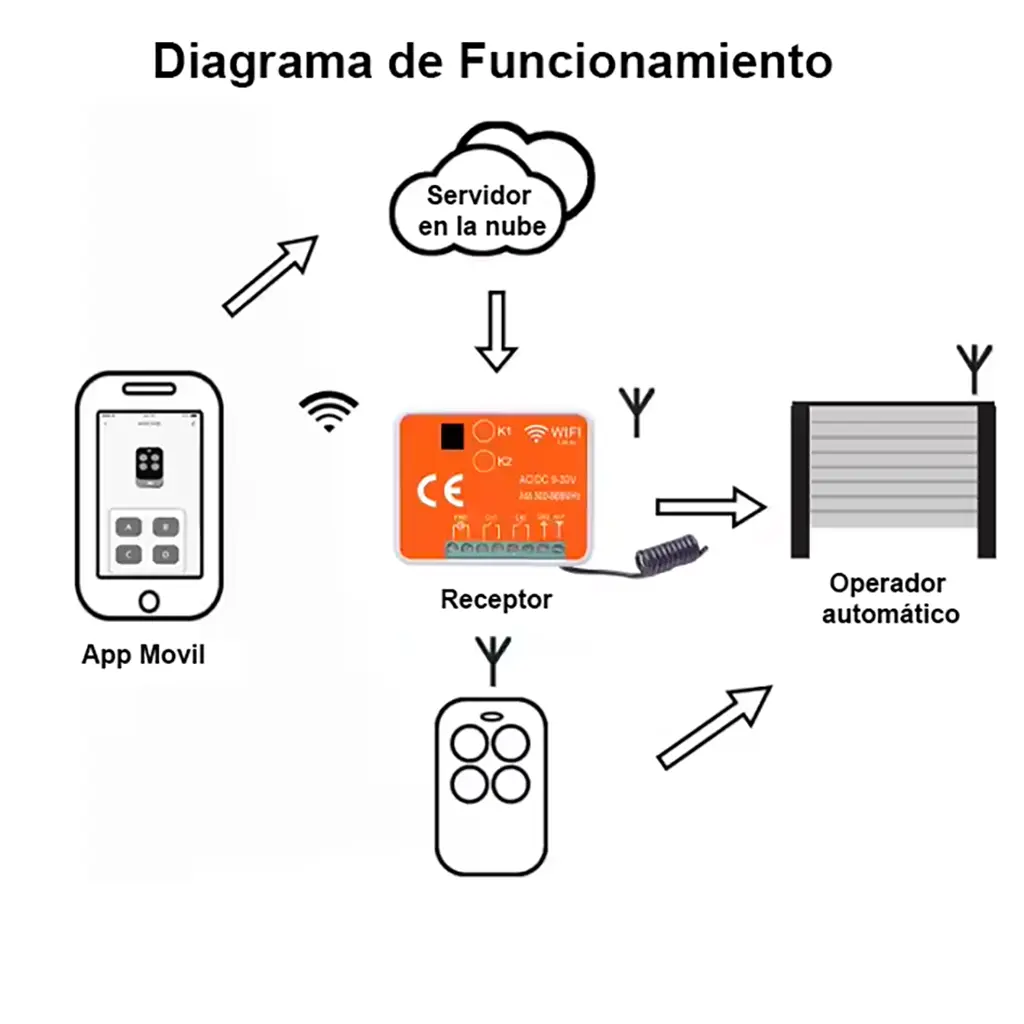Imagen 2 receptor 2.webp
