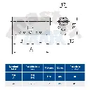 disegno_doppi_palladium.webp