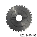 Corona p trans R02-844M-05.webp