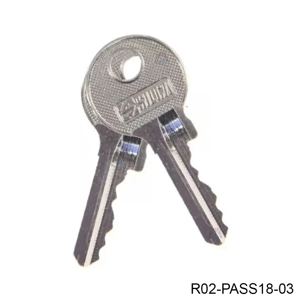 [R02-PASS18-03] Llaves de Desbloqueo para Op. PASS1800/2500, TORO1800/2500. Juego 2 piezas