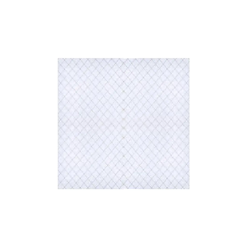 Vidrio con Malla Reticular de 6mm 30cm x 30cm, Templado, Dor