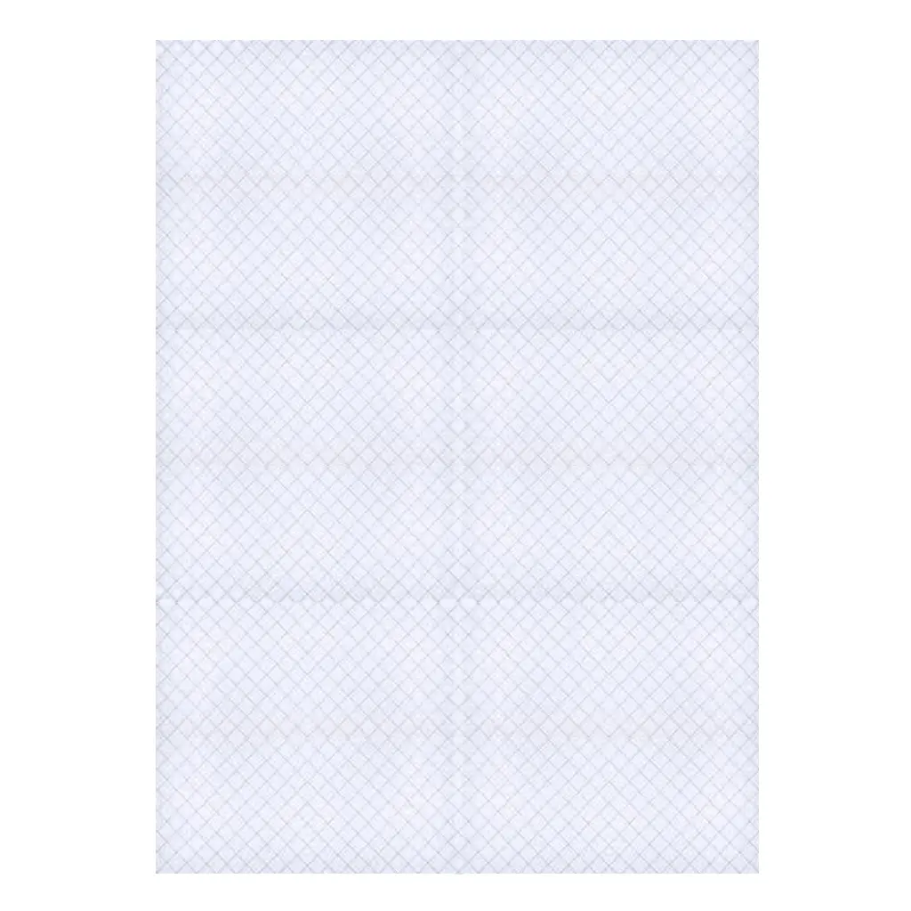 Vidrio con Malla Reticular de 6mm 60cm x 80cm, Templado, Dor