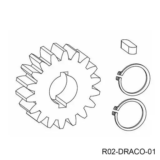 [R02-DRACO-01] Piñon de salida para Op. Cardin Draco, M4.