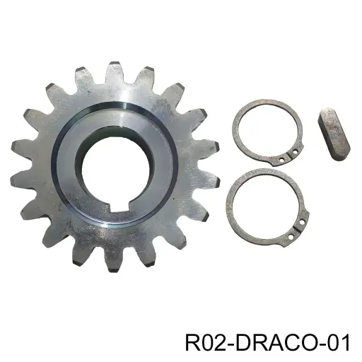 [R02-DRACO-01] Piñon de salida para Op. Cardin Draco, M4.